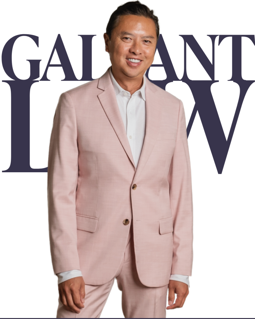 gallant law image