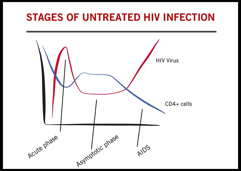 Diagramme des étapes de l'infection par le VIH