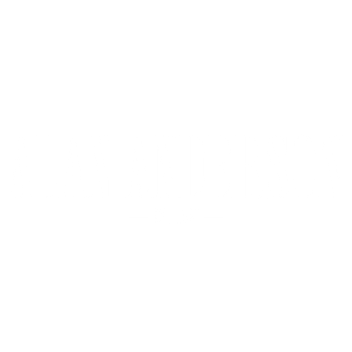 alan anderson